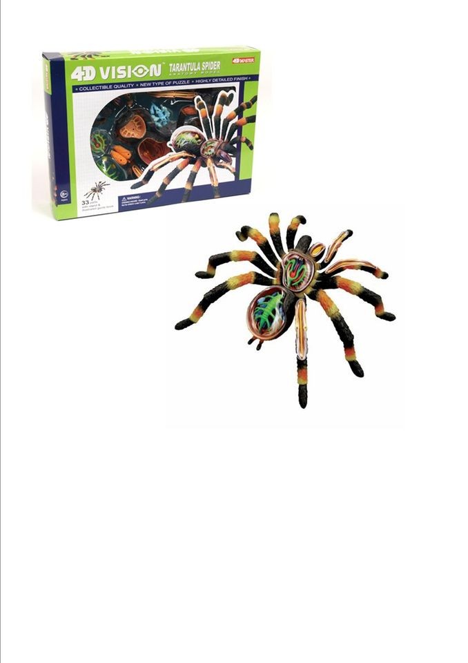   SPIDER ANATOMY MODEL/PUZZLE, 4D Vision Kit #26112 TEDCO SCIENCE TOYS
