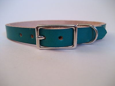 green leather dog collar in Leather Collars