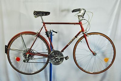 Vintage Schwinn Suburban Chesnut 24 Bike Bicycle 10 speed Shimano Dia 
