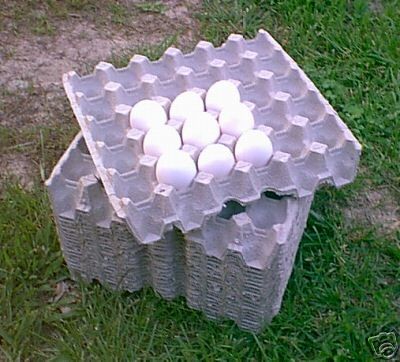 120 Paper chicken egg flats cartons hatching eggs NEW 