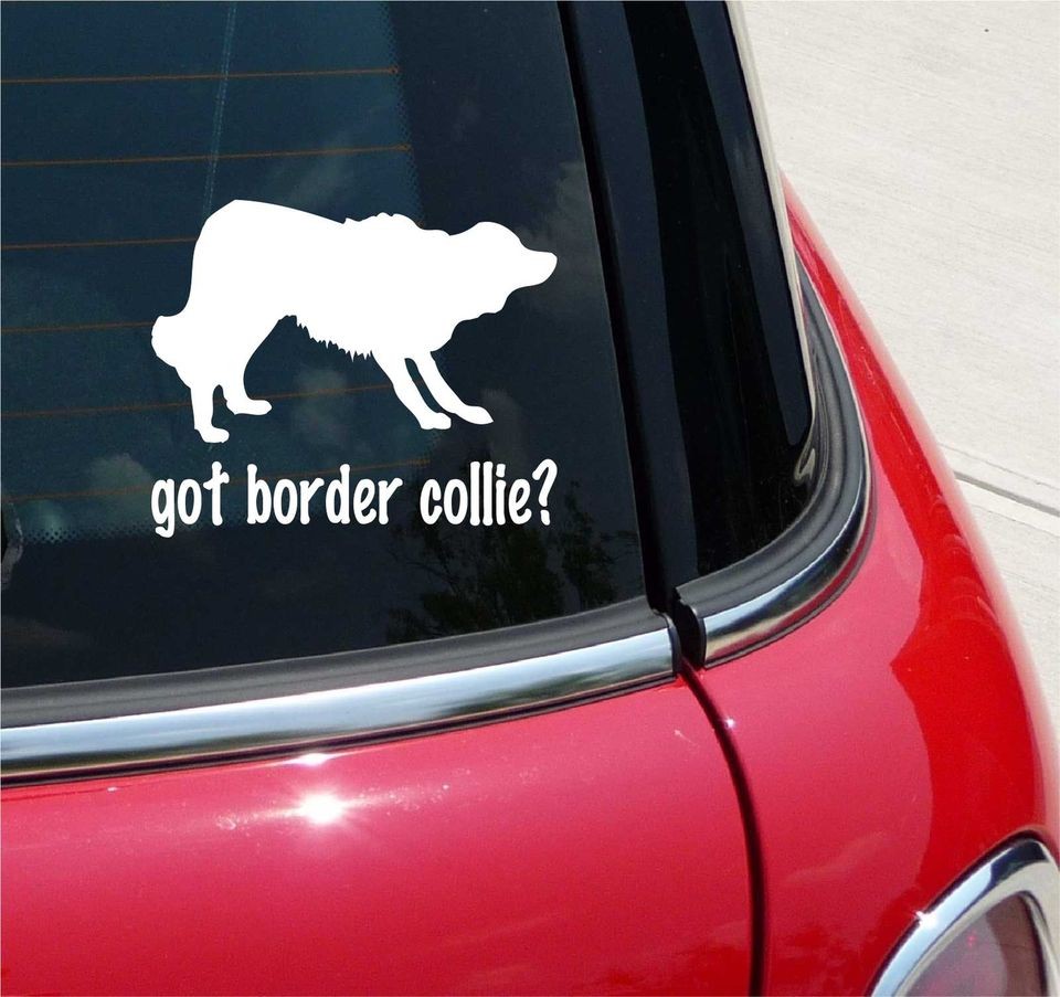 GOT BORDER COLLIE? COLLIE DOG GRAPHIC DECAL STICKER VINYL CAR WALL