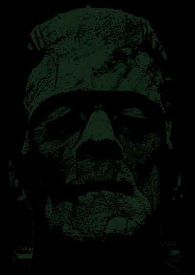 Frankensteins Horror Monster Mary Shelley on Image of Boris Karloff T 