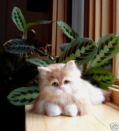Kitty Cat Realistic Furry Animal Replica Bobblehead 19T