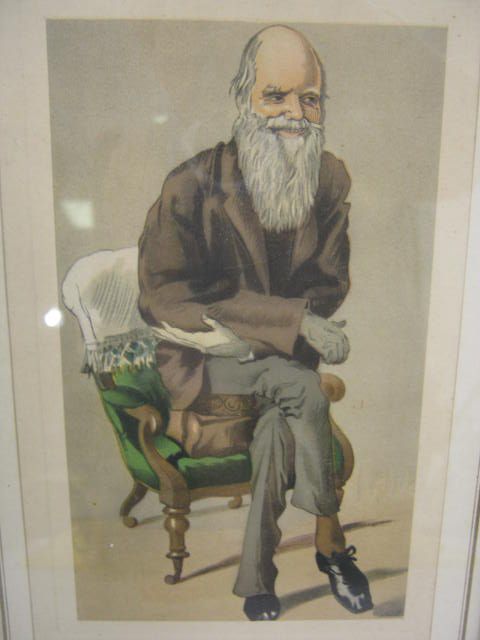 charles robert darwin framed print picture