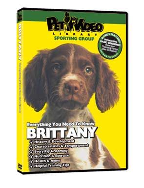 BRITTANY ~ Puppy ~ Dog Care & Training DVD New + BONUS