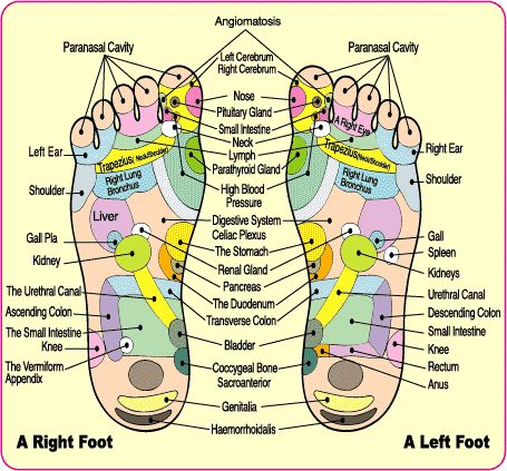  Detoxification Foot Patches Japanese Detox Feet Pads Kinotakara