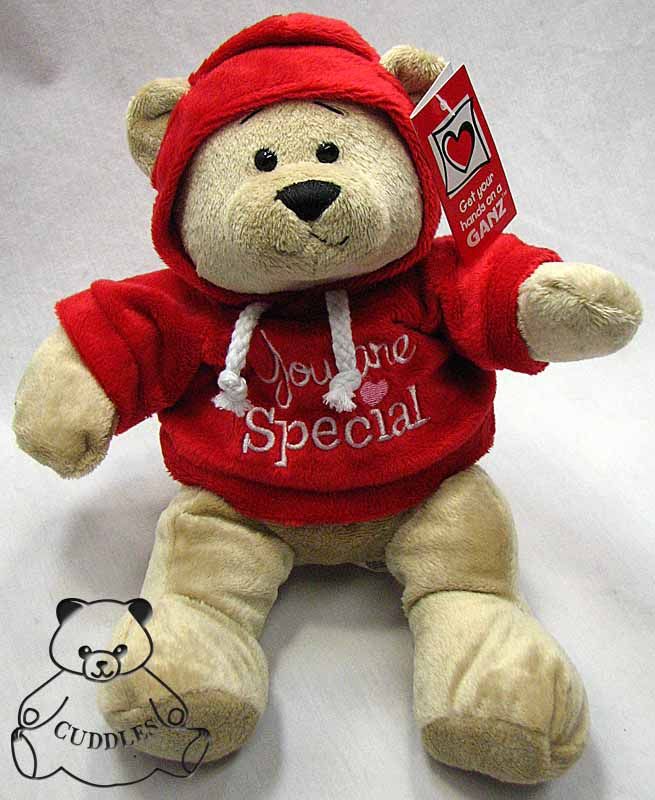 You Are Special Hoodie Bear Teddy Bear Ganz Plush Toy Stuffed Animal