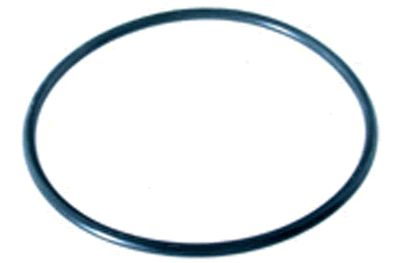 Jacuzzi EP Series Trap Pump Lid O Ring 47 0353 40