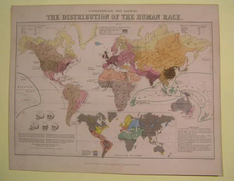 Distribution Human Race 1851 Ethnographic World Map