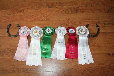 New Horse Show Ribbon Rack Holder Horse Shoes NICE