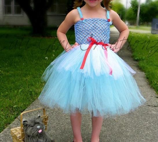 dorothy costume in Baby & Toddler Clothing